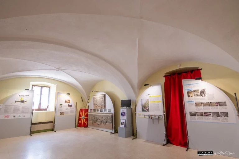 Exposition archéologique à Faverges