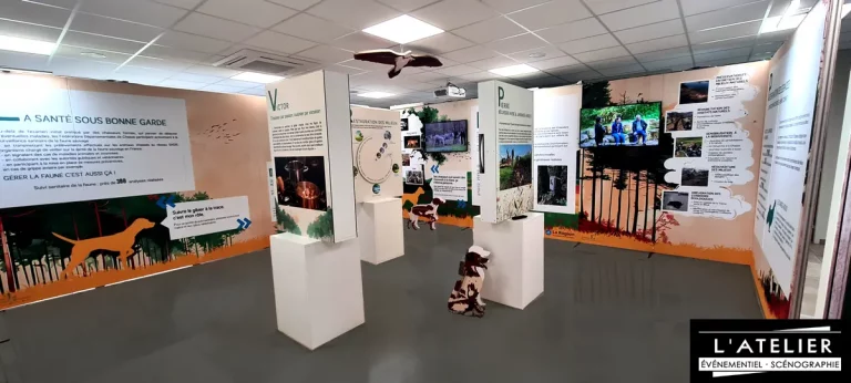 Exposition sur « la chasse » à Saint-etienne